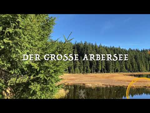 Der Große Arbersee - Mystische Orte
