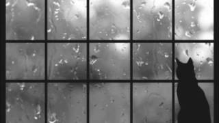 Chris Coco feat. Nick Cave - Sunday Morning (Velvet Underground)