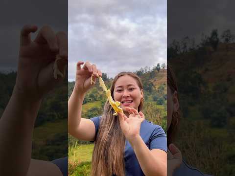 🧀 Así se Hace el Queso Doble Crema Artesanal en Boyacá 🇨🇴 | Susacón