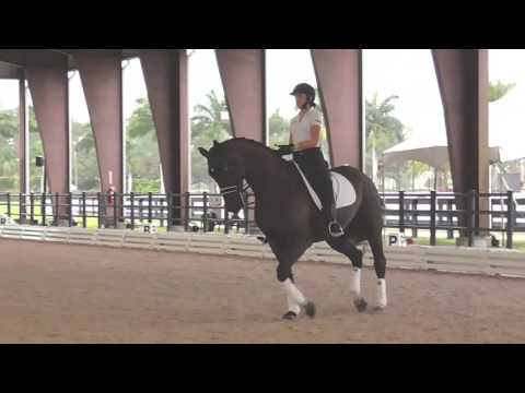 Laura Graves: Riding Your Horse In Front of the Leg