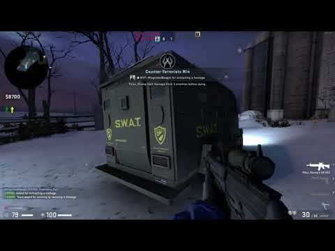 The Hostage has been rescued   Counter Terrorist Wins