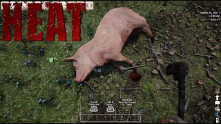 Getting Some Pork!!  |  Heat Homestead Gameplay  |  #21