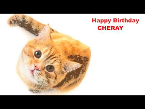 Cheray   Cats Gatos - Happy Birthday