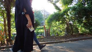 Sakura Fujiwara  Slow live 2017 Sep03