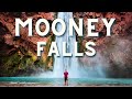 Mooney Falls The Descent Down Havasupai S Biggest Waterfall