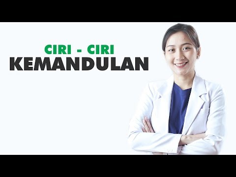 Dukungan potensi setelah 50 Penurunan palu torus Barnaul