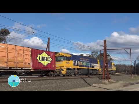 Diesel Locomotives C510,C509,BRM002 & C504 -Mt Victoria - September 2020