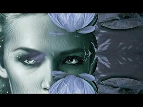 Mưa chiều lặng lẽ - Lệ Thu