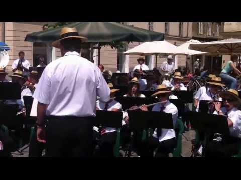 Nastop Pihalnega orkestra Bežigrad