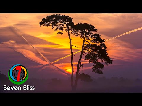 Mark & Lukas vs. Musty - African Night Sky (Extended Mix)