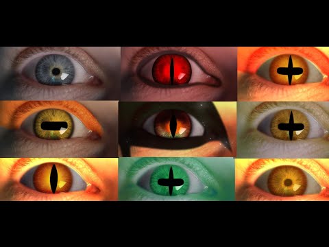 Naruto in Real Life - Baryon Mode and Every Other Form