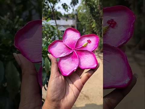 Diy Hibiscus plate 🌺✨🌿#shorts #youtubeshorts #diy #hibiscus #clayart #viralvideo #trending