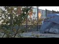SEX IN A TENT PUBLIC PRANK GONE WILD LADY CALLED THE COPS