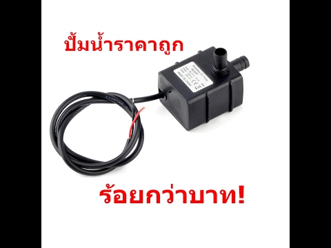 สมาชิกที่เล็กที่สุดของมุมมองของผู้หญิง ความอ่อนแอหลังจากการเตียรอยด์