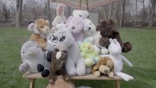 Into It. Over It. "No EQ" (Official Video)