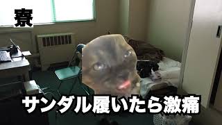 期間工の作業訓練で足裏がやばい07話【猫ミーム】