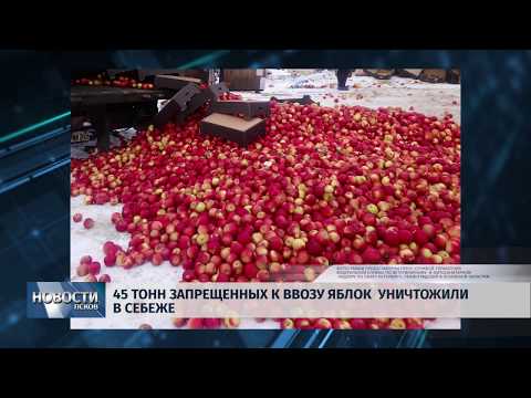 01.02.2019 / 45 тонн запрещенных к ввозу яблок уничтожили в Себеже