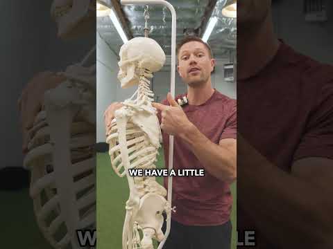 The Myth Of “Thoracic Mobility” - Stop Doing This! #mobility #posture #mobilitytraining