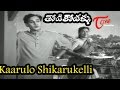 Thodi Kodallu‬ Movie Songs Kaarulo Shikarukelli ANR Savitri