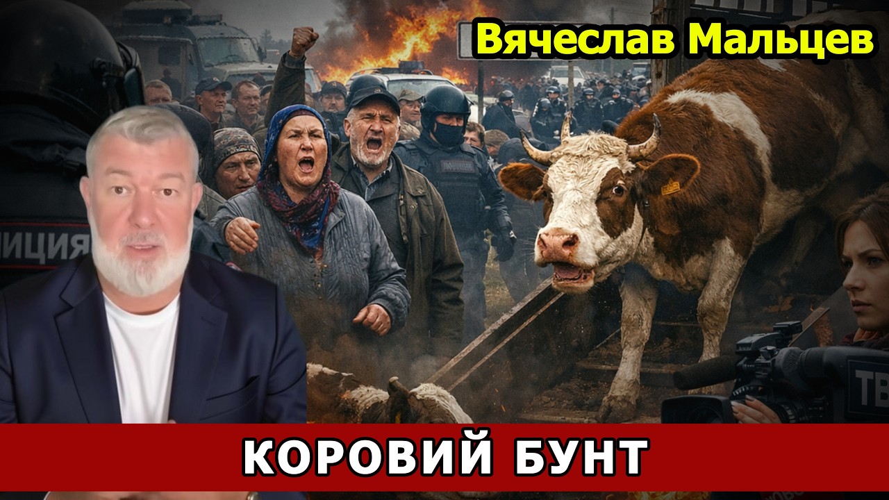 КОРОВИЙ БУНТ