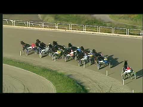 Napoli Trotto 18/11/2022 - 5ª corsa