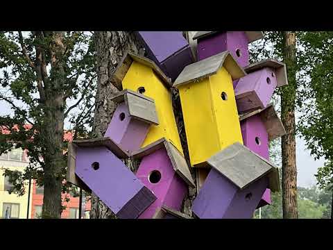 Troll Trail Fun in D. L., MN