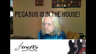 Video thumbnail for Firefly Pegasus Unboxing Review by GtoneGuitars