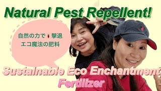 【YouTube- New Zealand】Nurturing&safeguarding plants with Sustainable Eco Enchantment Fertilizer
