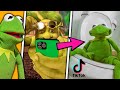 Tik Tok Memes Approved By Kermit The Frog