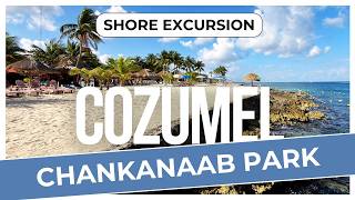 Chankanaab Park Cozumel Review | Snorkeling, Beach & Park Admission (Cruise Excursion Guide)