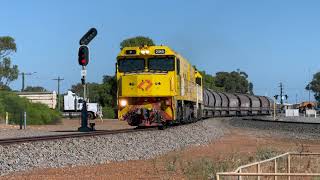 Trains in Western Australia: Narrow Gauge Grain Train Departure