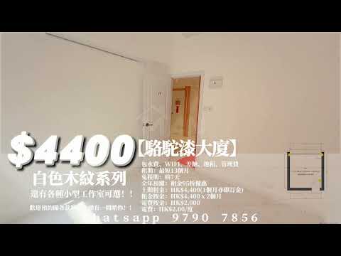 骆驼漆大厦 Youtube Video