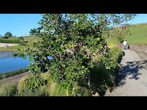 Passeio em São Francisco de Paula rio grande do sul