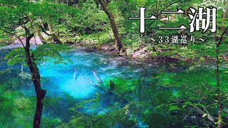 白神山地 青池 〜33湖巡り〜