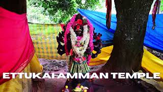 Temple video