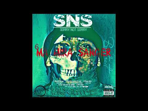 Bert Rast   Mi Way (Audio) SNS