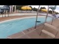 Kiara Swims At Chesterfield Aquatic Center Pool Paws Mo
