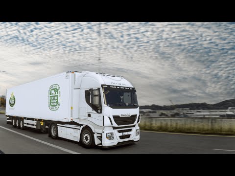 Realistic Driving Iveco Hi-Way 460 Euro Truck Simulator 2 POV Drive 4K 1.57+Wheel Cam