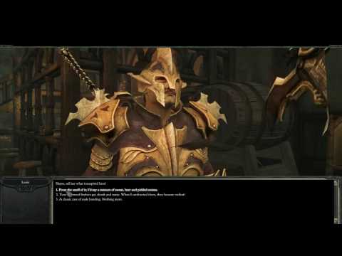 Divinity 2 Ego Draconis - Band of Brutes