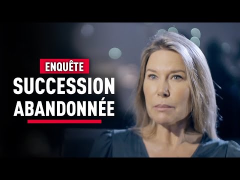 A completely abandoned inheritance: Investigation with the Experts - Report - KM