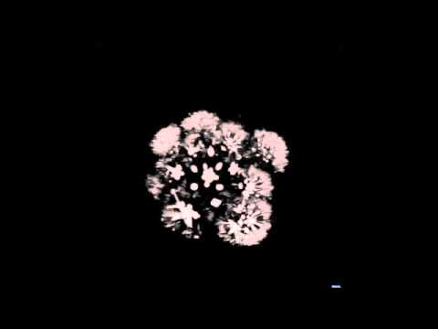 Martin Donath - Soleil Levant