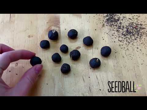 Make Your Own Kit by Seedball