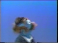 Sesame Street Anything Muppets Shout E