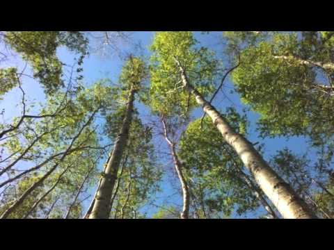 PelySayon - Cotidiano