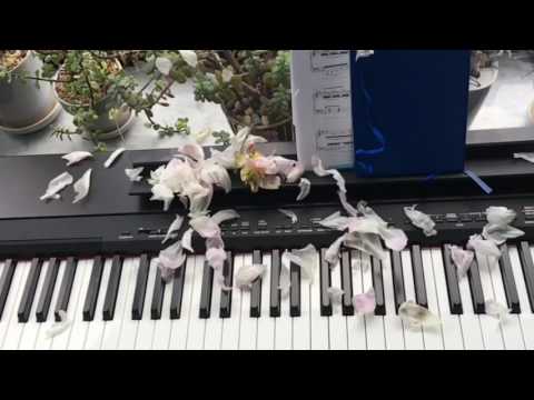 Ey Balhindhaa Maaburaa Kokaala (Piano Cover)