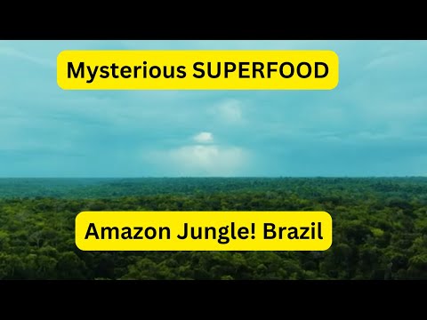 The Mysterious SUPERFOOD of the Amazon Jungle! 🇧🇷 (Belém, Brazil)