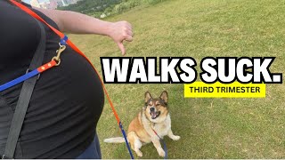 Dog Exercise & Enrichment Ideas When You’re Unable to Go On Long Walks