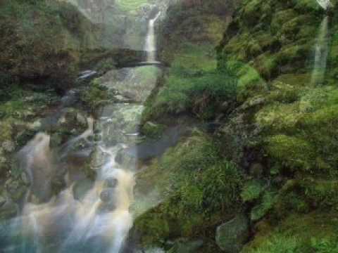 Ricky Mash - What is a heart