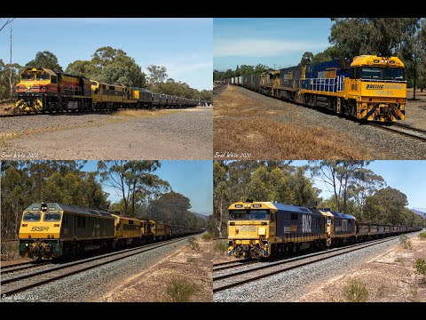Trackside: Three Grains, a Superfreighter and a Steel train at Locksley, Avenel & Seymour 12/1/20