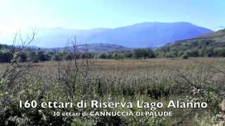 preview picture of video 'Oasi WWf LAGO di Alanno -Riserva Nat.Region.Abruzzo'